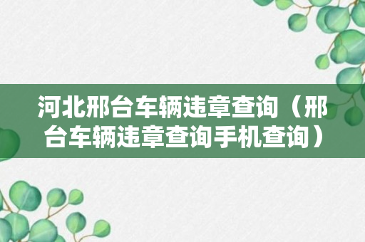 河北邢台车辆违章查询（邢台车辆违章查询手机查询）