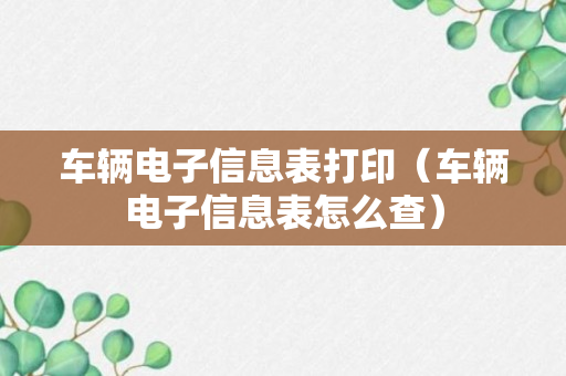 车辆电子信息表打印（车辆电子信息表怎么查）