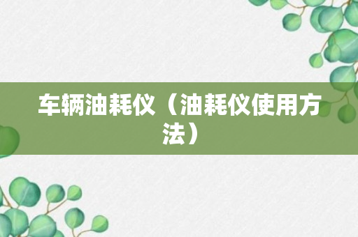 车辆油耗仪（油耗仪使用方法）