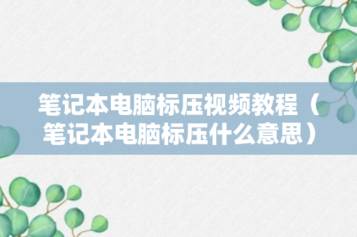 笔记本电脑标压视频教程（笔记本电脑标压什么意思）