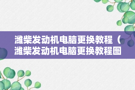 潍柴发动机电脑更换教程（潍柴发动机电脑更换教程图解）