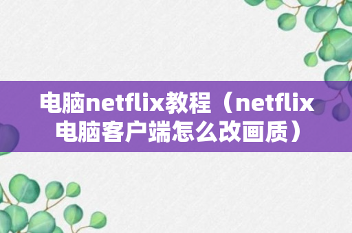 电脑netflix教程（netflix电脑客户端怎么改画质）