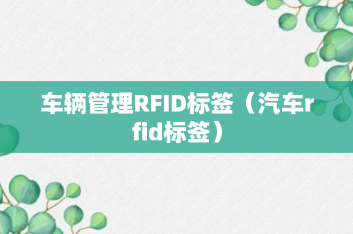 车辆管理RFID标签（汽车rfid标签）