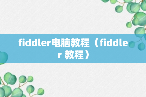 fiddler电脑教程（fiddler 教程）