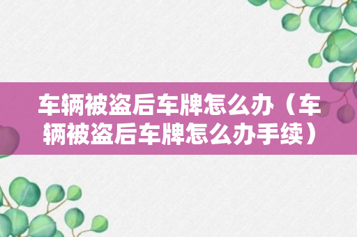 车辆被盗后车牌怎么办（车辆被盗后车牌怎么办手续）