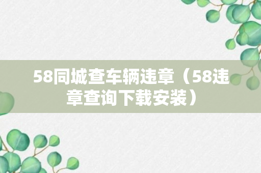 58同城查车辆违章（58违章查询下载安装）