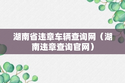 湖南省违章车辆查询网（湖南违章查询官网）