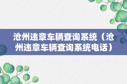 沧州违章车辆查询系统（沧州违章车辆查询系统电话）