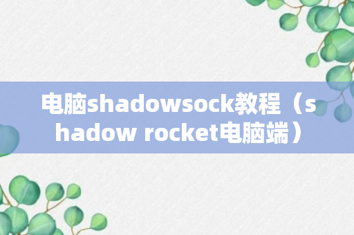 电脑shadowsock教程（shadow rocket电脑端）