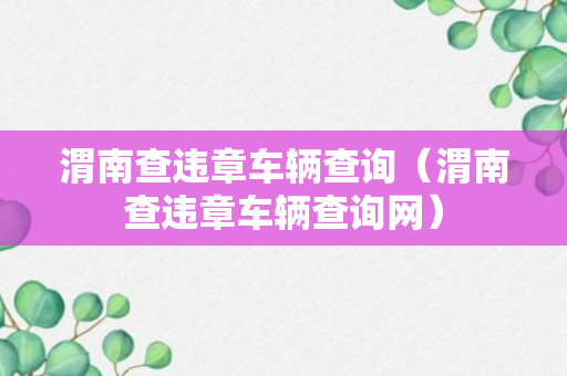 渭南查违章车辆查询（渭南查违章车辆查询网）