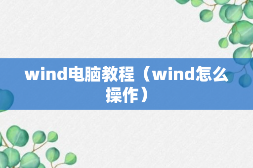 wind电脑教程（wind怎么操作）