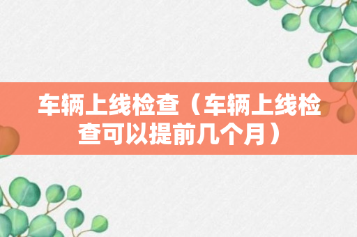 车辆上线检查（车辆上线检查可以提前几个月）