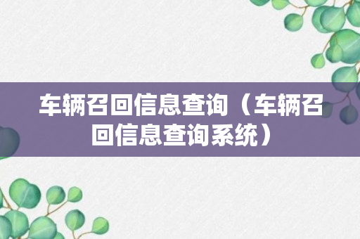 车辆召回信息查询（车辆召回信息查询系统）