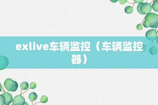 exlive车辆监控（车辆监控器）