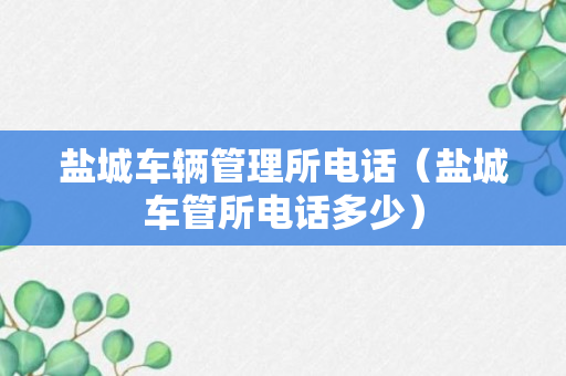 盐城车辆管理所电话（盐城车管所电话多少）