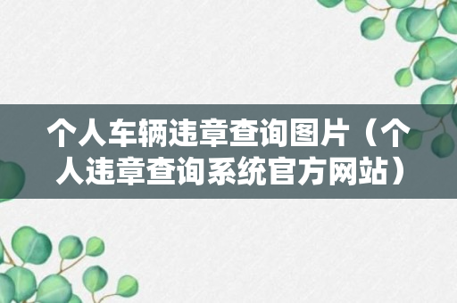 个人车辆违章查询图片（个人违章查询系统官方网站）