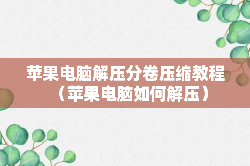 苹果电脑解压分卷压缩教程（苹果电脑如何解压）