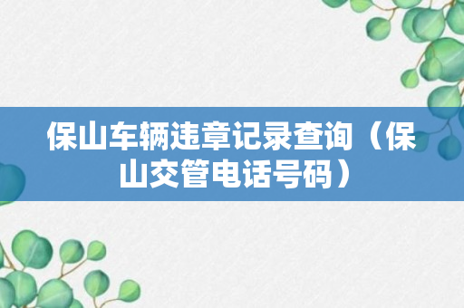 保山车辆违章记录查询（保山交管电话号码）