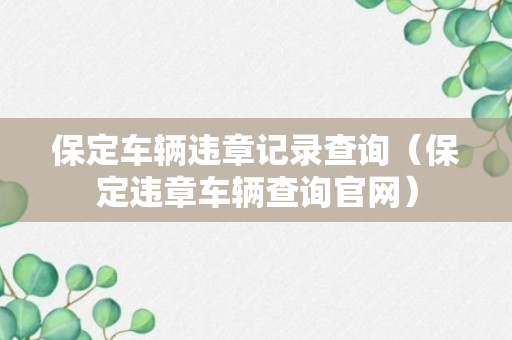 保定车辆违章记录查询（保定违章车辆查询官网）