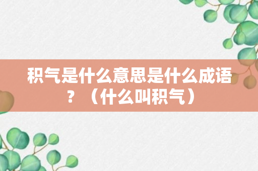 积气是什么意思是什么成语？（什么叫积气）