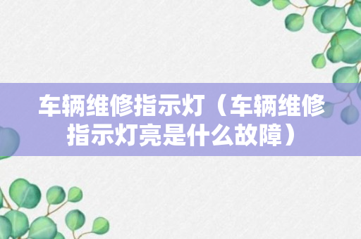 车辆维修指示灯（车辆维修指示灯亮是什么故障）