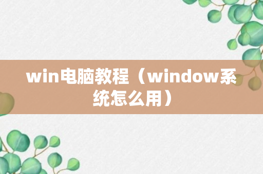 win电脑教程（window系统怎么用）