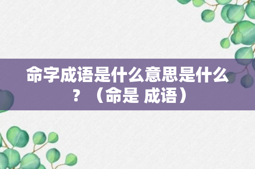 命字成语是什么意思是什么？（命是 成语）