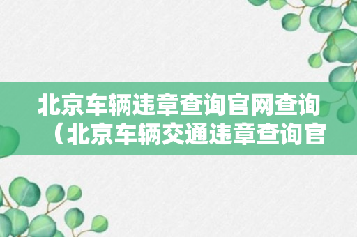 北京车辆违章查询官网查询（北京车辆交通违章查询官网）