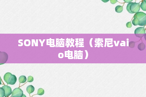 SONY电脑教程（索尼vaio电脑）