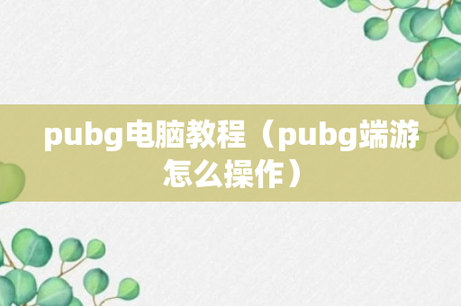 pubg电脑教程（pubg端游怎么操作）