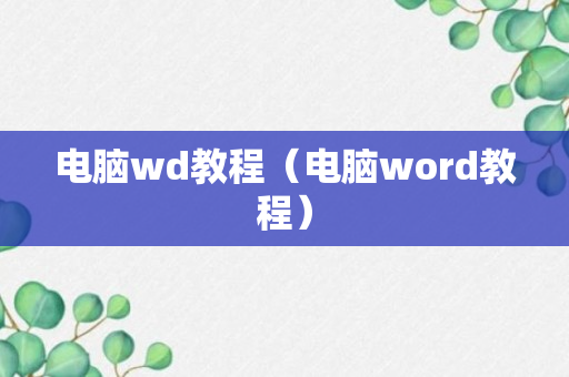 电脑wd教程（电脑word教程）