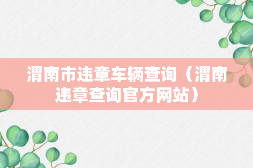 渭南市违章车辆查询（渭南违章查询官方网站）