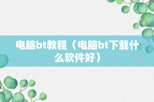 电脑bt教程（电脑bt下载什么软件好）