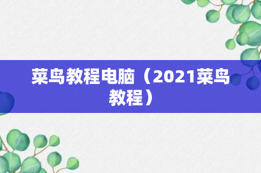 菜鸟教程电脑（2021菜鸟教程）