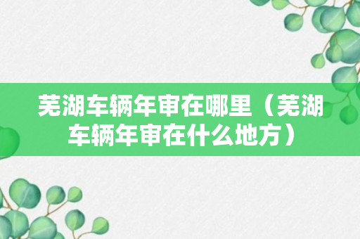 芜湖车辆年审在哪里（芜湖车辆年审在什么地方）