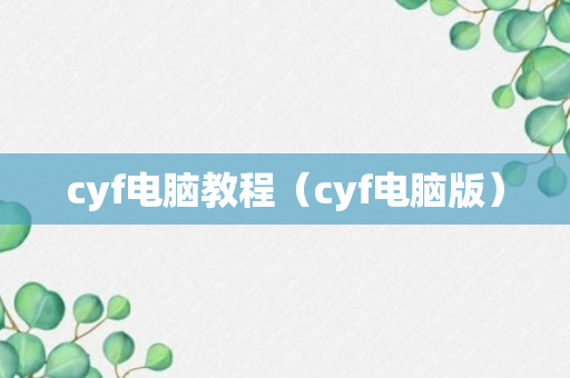 cyf电脑教程（cyf电脑版）