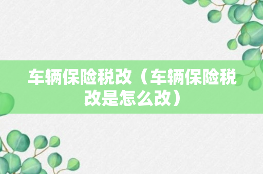 车辆保险税改（车辆保险税改是怎么改）