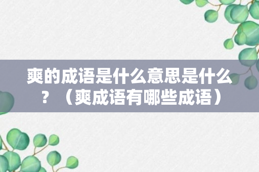 爽的成语是什么意思是什么？（爽成语有哪些成语）