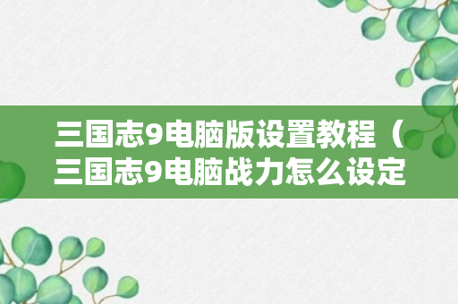 三国志9电脑版设置教程（三国志9电脑战力怎么设定）