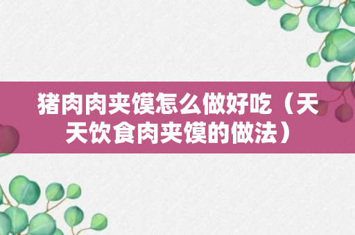 猪肉肉夹馍怎么做好吃（天天饮食肉夹馍的做法）