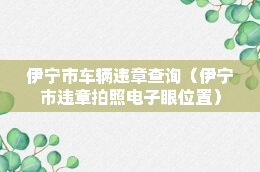 伊宁市车辆违章查询（伊宁市违章拍照电子眼位置）