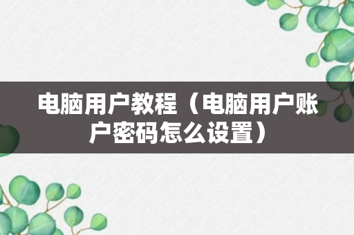 电脑用户教程（电脑用户账户密码怎么设置）