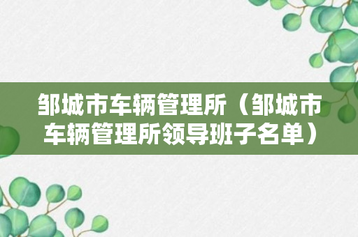 邹城市车辆管理所（邹城市车辆管理所领导班子名单）