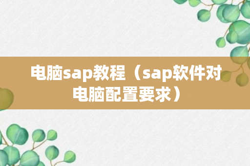 电脑sap教程（sap软件对电脑配置要求）