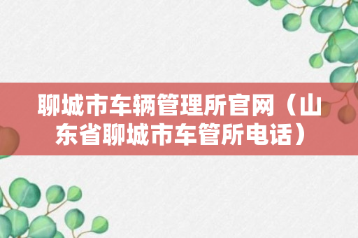 聊城市车辆管理所官网（山东省聊城市车管所电话）