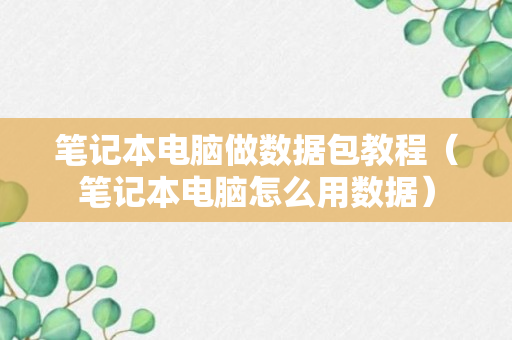 笔记本电脑做数据包教程（笔记本电脑怎么用数据）