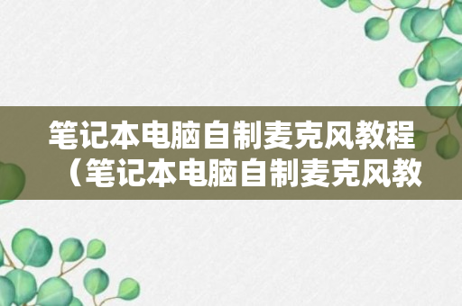 笔记本电脑自制麦克风教程（笔记本电脑自制麦克风教程图解）