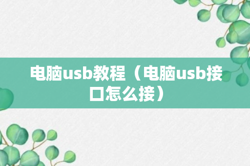 电脑usb教程（电脑usb接口怎么接）