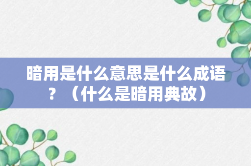 暗用是什么意思是什么成语？（什么是暗用典故）