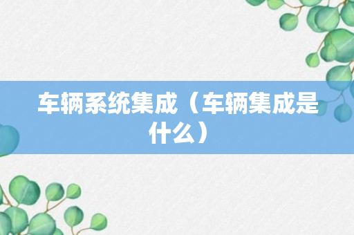 车辆系统集成（车辆集成是什么）